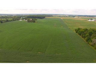 Property photo 5 - REAL ESTATE AUCTION - 116.5+/- ACRES IN 9 TRACTS WITH 2 FARMS IN NOBLE COUNTY, INDIANA